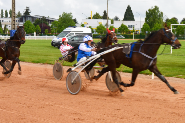 Chevaux Rforms De Course